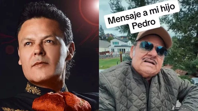 pedro-fernandez-perdon-padre